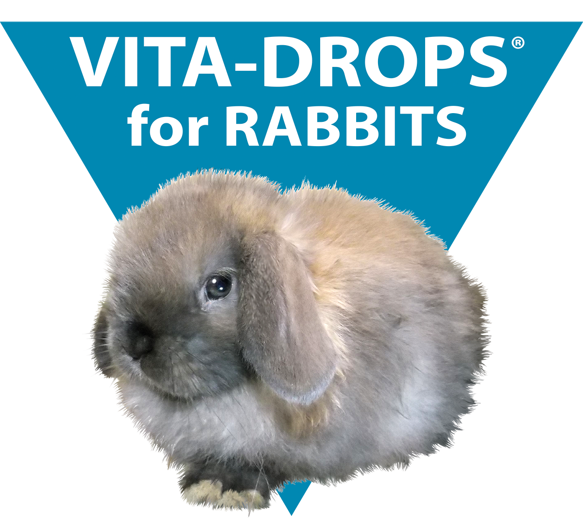 Vita Drops® for Rabbits Kordon